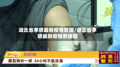 湖北省孝感最新疫情数据/湖北省孝感最新疫情数据图-第1张图片