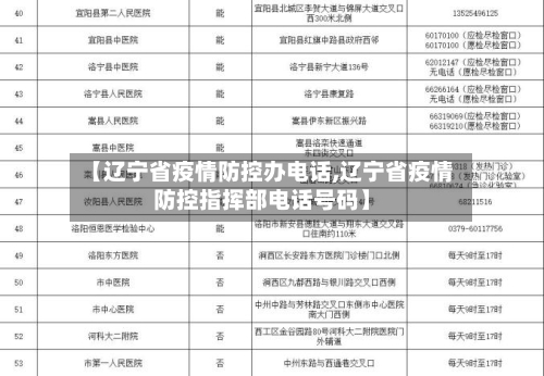 【辽宁省疫情防控办电话,辽宁省疫情防控指挥部电话号码】-第3张图片