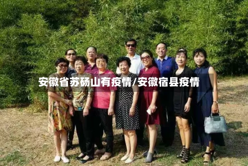 安徽省苏砀山有疫情/安徽宿县疫情-第1张图片