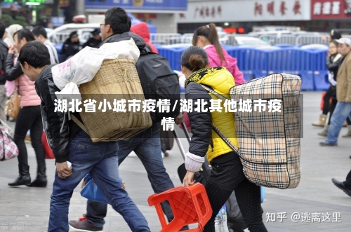 湖北省小城市疫情/湖北其他城市疫情-第3张图片