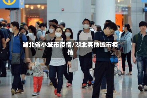 湖北省小城市疫情/湖北其他城市疫情-第1张图片