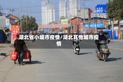 湖北省小城市疫情/湖北其他城市疫情-第2张图片
