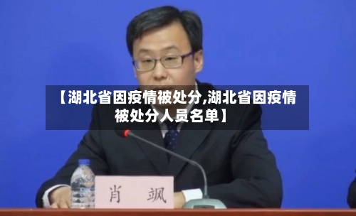 【湖北省因疫情被处分,湖北省因疫情被处分人员名单】-第2张图片