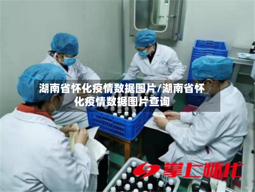 湖南省怀化疫情数据图片/湖南省怀化疫情数据图片查询-第2张图片