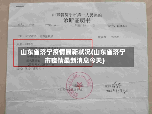 山东省济宁疫情最新状况(山东省济宁市疫情最新消息今天)-第2张图片