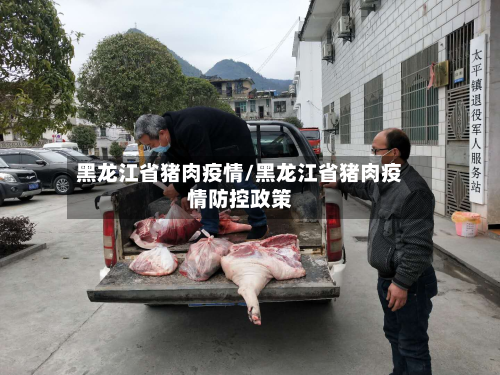 黑龙江省猪肉疫情/黑龙江省猪肉疫情防控政策-第3张图片