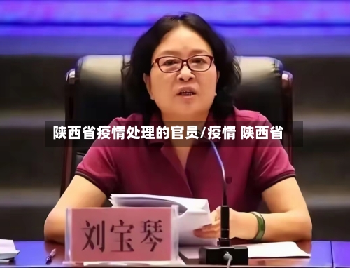 陕西省疫情处理的官员/疫情 陕西省-第1张图片