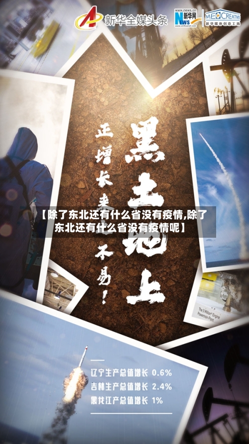 【除了东北还有什么省没有疫情,除了东北还有什么省没有疫情呢】-第3张图片