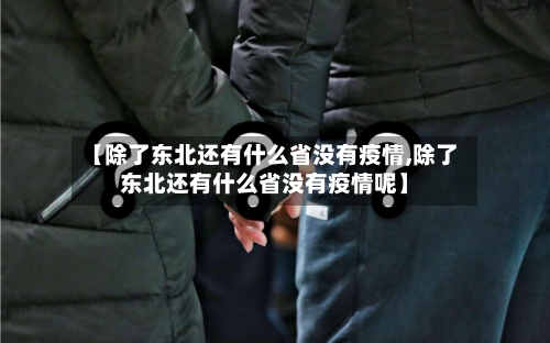 【除了东北还有什么省没有疫情,除了东北还有什么省没有疫情呢】-第2张图片