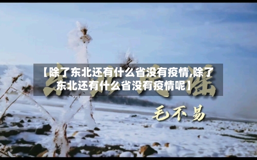 【除了东北还有什么省没有疫情,除了东北还有什么省没有疫情呢】-第1张图片