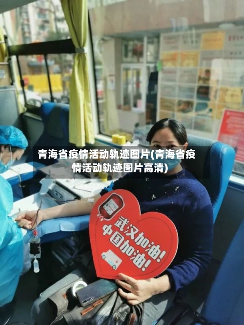 青海省疫情活动轨迹图片(青海省疫情活动轨迹图片高清)-第2张图片