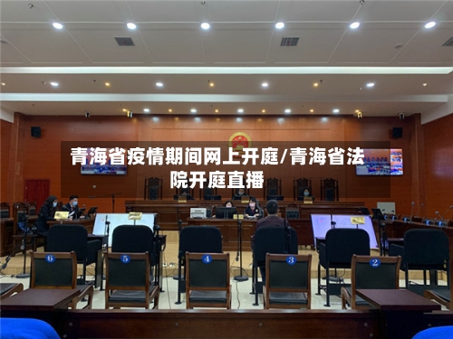 青海省疫情期间网上开庭/青海省法院开庭直播-第3张图片