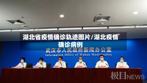 湖北省疫情确诊轨迹图片/湖北疫情确诊病例-第2张图片