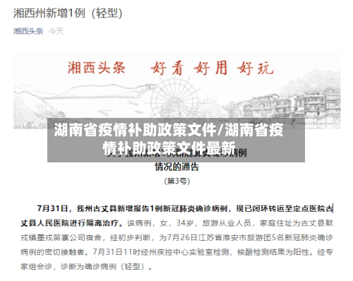 湖南省疫情补助政策文件/湖南省疫情补助政策文件最新-第2张图片