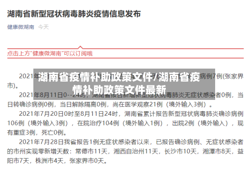 湖南省疫情补助政策文件/湖南省疫情补助政策文件最新-第3张图片