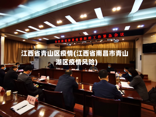 江西省青山区疫情(江西省南昌市青山湖区疫情风险)-第2张图片