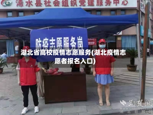 湖北省高校疫情志愿服务(湖北疫情志愿者报名入口)-第2张图片