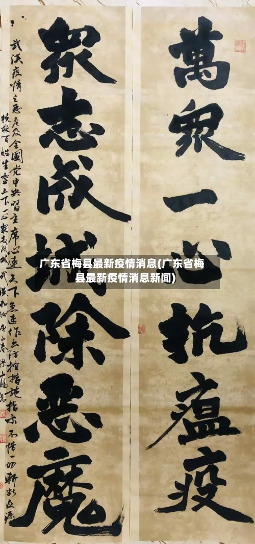 广东省梅县最新疫情消息(广东省梅县最新疫情消息新闻)-第1张图片