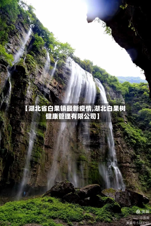 【湖北省白果镇最新疫情,湖北白果树健康管理有限公司】-第3张图片