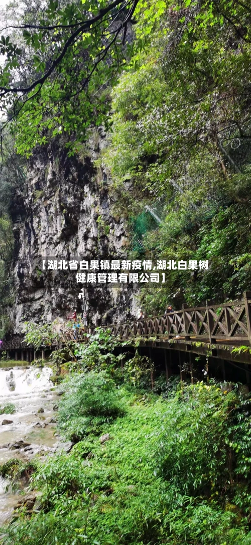 【湖北省白果镇最新疫情,湖北白果树健康管理有限公司】-第1张图片