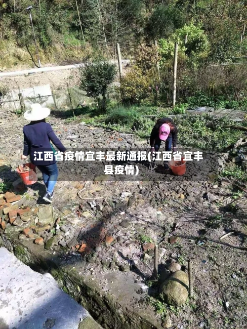 江西省疫情宜丰最新通报(江西省宜丰县疫情)-第1张图片