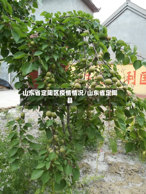 山东省定陶区疫情情况/山东省定陶县-第2张图片