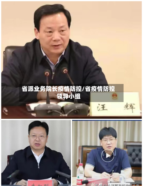 省派业务院长疫情防控/省疫情防控领导小组-第2张图片