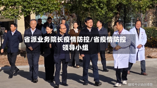 省派业务院长疫情防控/省疫情防控领导小组-第1张图片