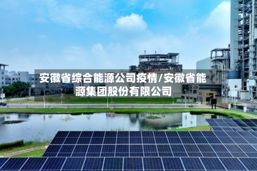 安徽省综合能源公司疫情/安徽省能源集团股份有限公司-第3张图片