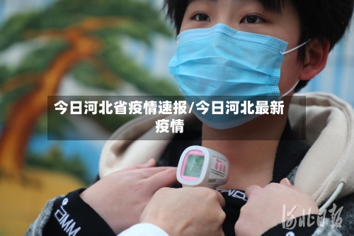 今日河北省疫情速报/今日河北最新疫情-第2张图片
