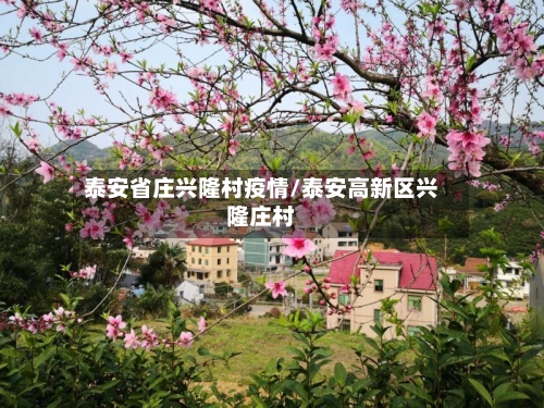 泰安省庄兴隆村疫情/泰安高新区兴隆庄村-第3张图片