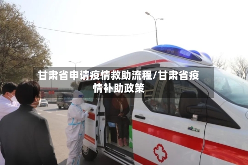 甘肃省申请疫情救助流程/甘肃省疫情补助政策-第3张图片