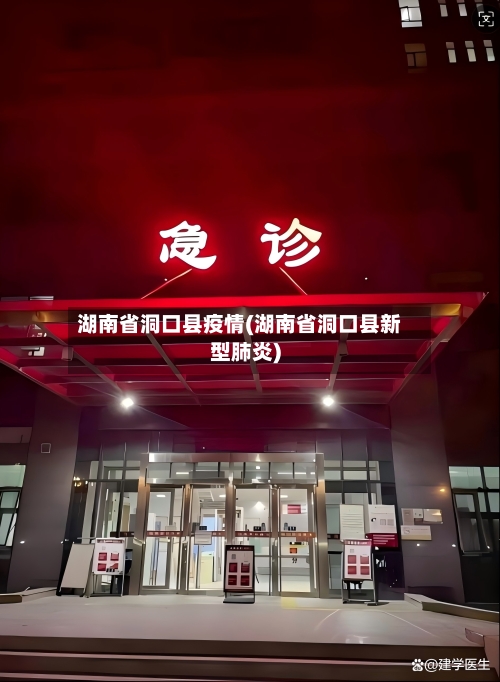 湖南省洞口县疫情(湖南省洞口县新型肺炎)-第1张图片