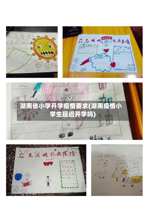 湖南省小学开学疫情要求(湖南疫情小学生延迟开学吗)-第1张图片