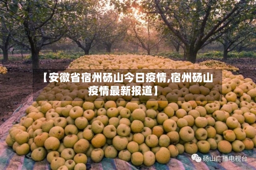 【安徽省宿州砀山今日疫情,宿州砀山疫情最新报道】-第1张图片