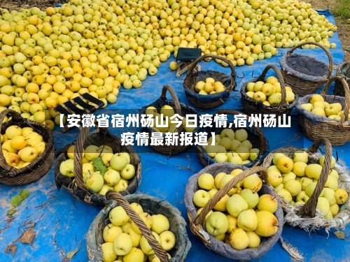 【安徽省宿州砀山今日疫情,宿州砀山疫情最新报道】-第2张图片