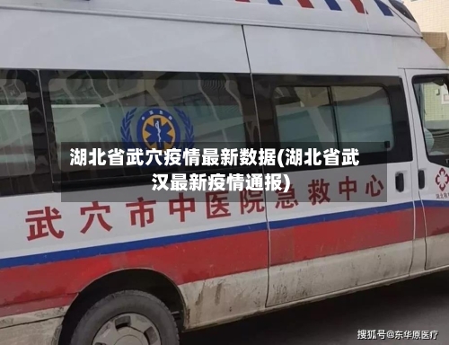 湖北省武穴疫情最新数据(湖北省武汉最新疫情通报)-第2张图片