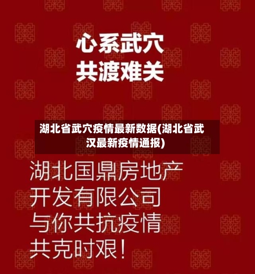 湖北省武穴疫情最新数据(湖北省武汉最新疫情通报)-第1张图片