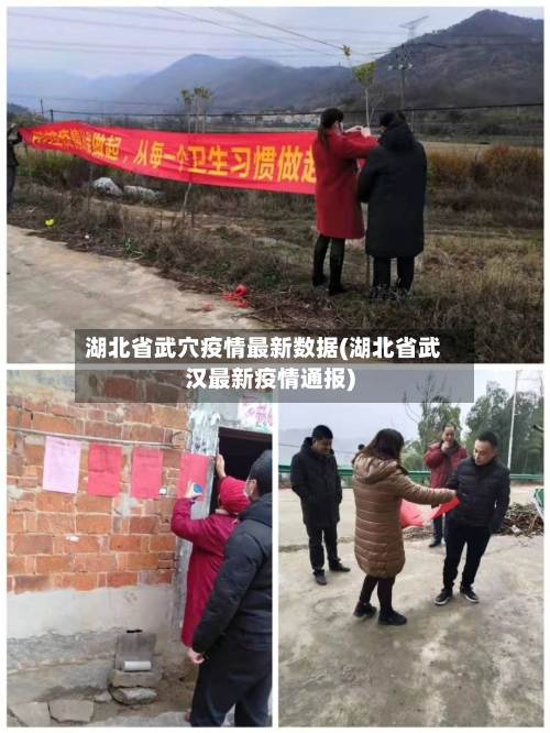 湖北省武穴疫情最新数据(湖北省武汉最新疫情通报)-第3张图片