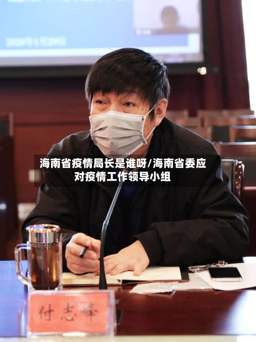 海南省疫情局长是谁呀/海南省委应对疫情工作领导小组-第1张图片
