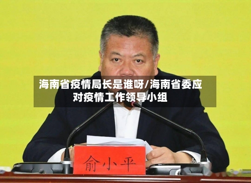 海南省疫情局长是谁呀/海南省委应对疫情工作领导小组-第2张图片