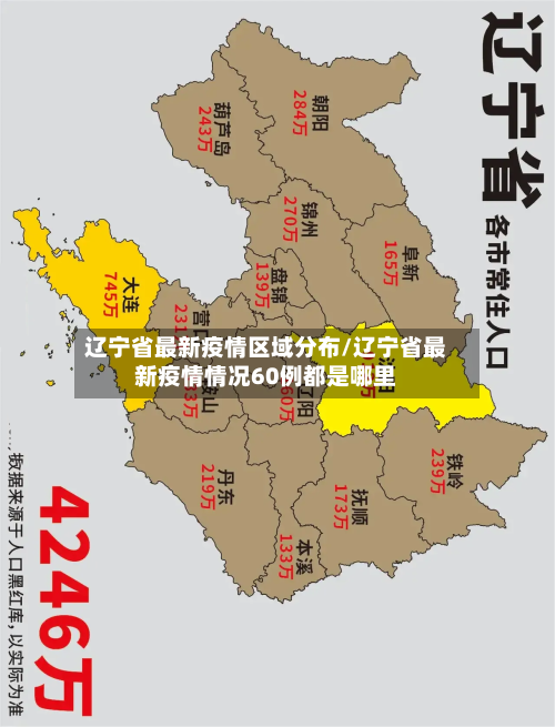 辽宁省最新疫情区域分布/辽宁省最新疫情情况60例都是哪里-第3张图片