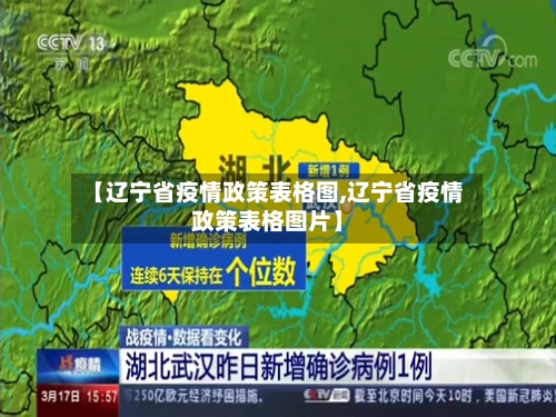 【辽宁省疫情政策表格图,辽宁省疫情政策表格图片】-第2张图片