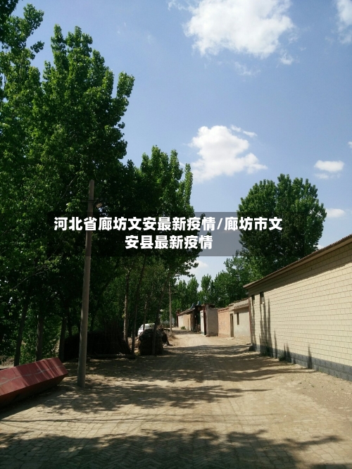 河北省廊坊文安最新疫情/廊坊市文安县最新疫情-第2张图片