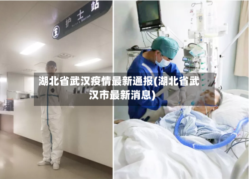湖北省武汉疫情最新通报(湖北省武汉市最新消息)-第2张图片