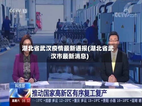 湖北省武汉疫情最新通报(湖北省武汉市最新消息)-第3张图片
