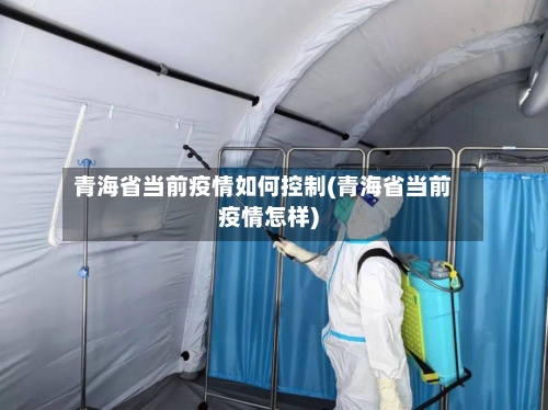 青海省当前疫情如何控制(青海省当前疫情怎样)-第1张图片