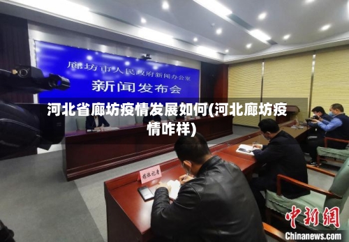 河北省廊坊疫情发展如何(河北廊坊疫情咋样)-第1张图片