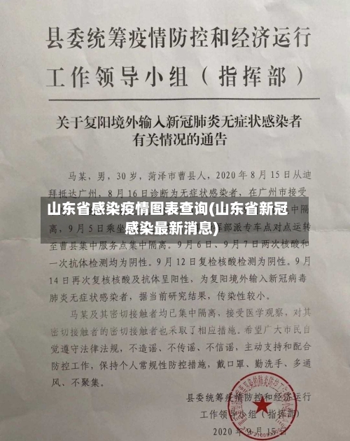 山东省感染疫情图表查询(山东省新冠感染最新消息)-第1张图片