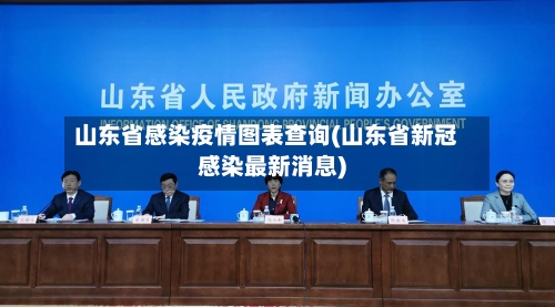 山东省感染疫情图表查询(山东省新冠感染最新消息)-第2张图片